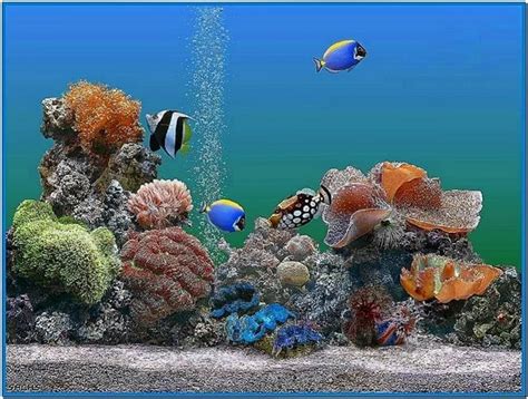 Animated Aquarium Screensaver ~ 49 Moving Aquarium Wallpaper On