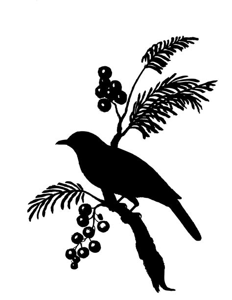 Bird Silhouette Clipart Free Stock Photo Public Domain Pictures