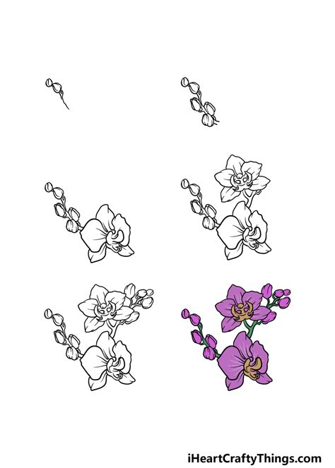 Purple Orchids Tat Are Easy To Draw Joseph Unintork