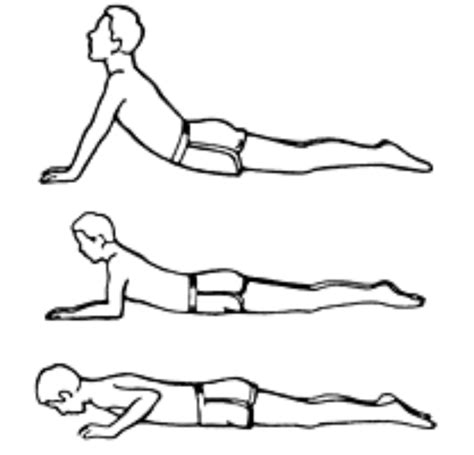 Innovative Fitness 3 Stretches To Prevent Back To Work Back Pain