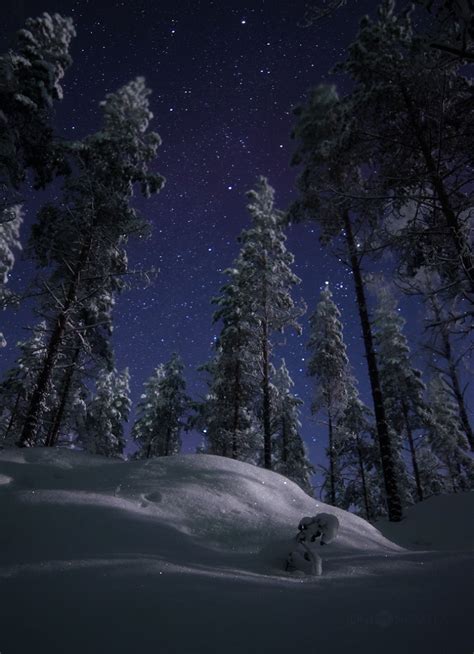 I Captured The Finnish Night Sky Bored Panda
