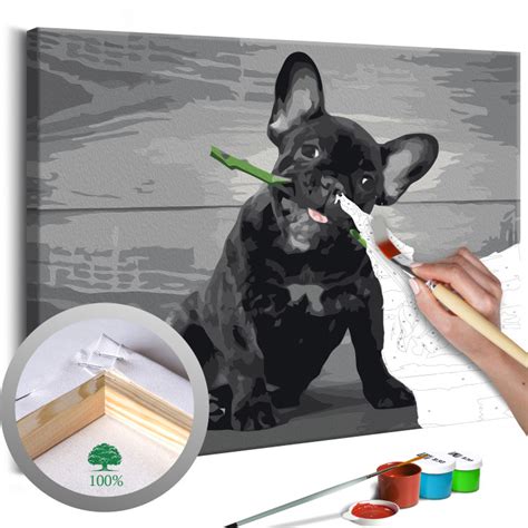 Dog Paint By Numbers Painting By Numbers Dogs Paint By Numbers Dog