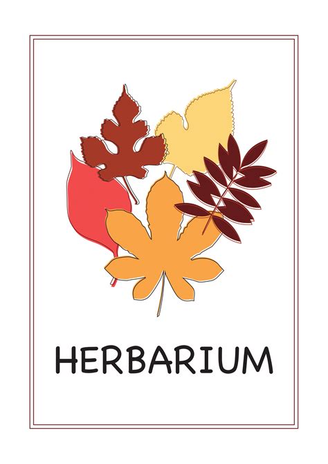Herbarium Vorlage Zum Ausdrucken