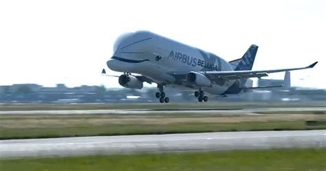 The beluga xl airbus made its first flight on 19 july 2018 and received the type certification on november 13, 2019. Take a look at the new Airbus Beluga XL as it flies to ...