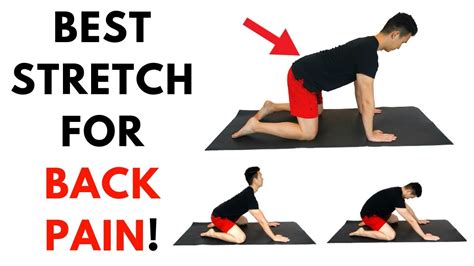 Stretching Exercises For Back Pain Relief Online Degrees