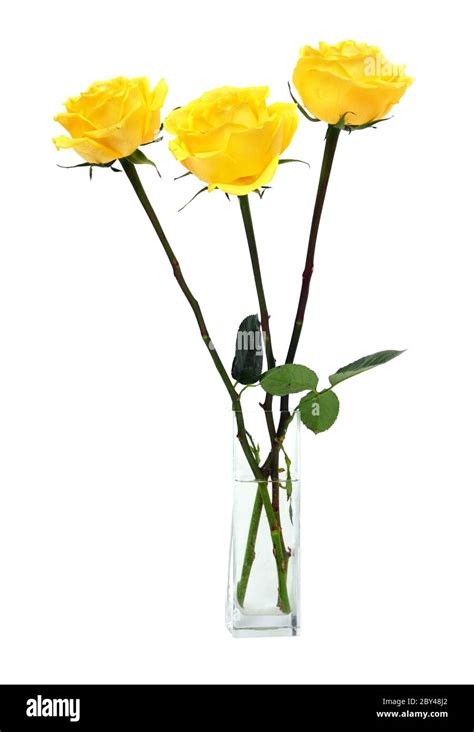 Bouquet Of Yellow Roses Stock Photo Alamy