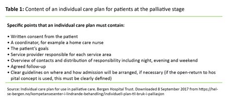 Individual Care Plan At The Palliative Stage Helping Relatives To