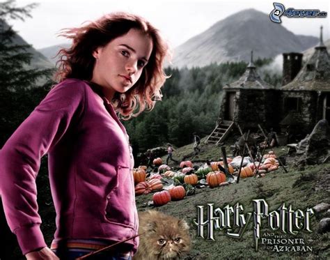 Selon la légende, black aurait jadis livré les parents du jeune sorcier à leur assassin, lord voldemort, et serait maintenant déterminé à tuer harry…. Harry Potter et le Prisonnier d'Azkaban
