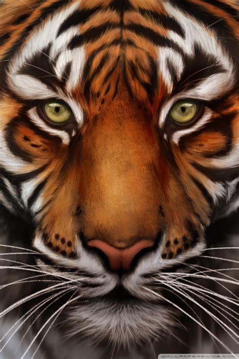 You can also upload and share your favorite 3d hd tiger wallpapers. Download Tiger Wallpaper Iphone Gallery