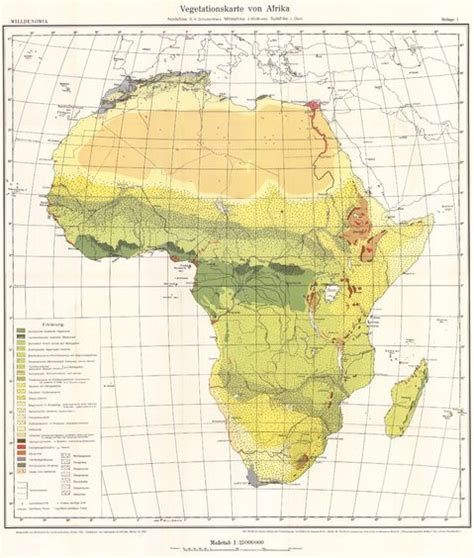 Climate and vegetation of africa exploring africa. Vegetation map of Africa | Gifex