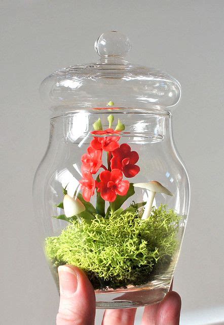 Tiny Red Vanda Orchid Terrarium In Recycled Glass Orchid Terrarium