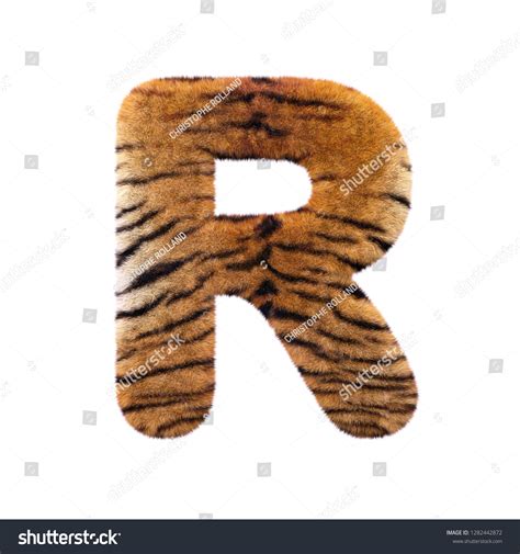 Tiger Letter R Capital D Feline Stock Illustration