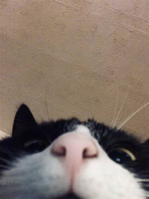 When You Open Up The Front Camera By Mistakebitly2ddsh5u