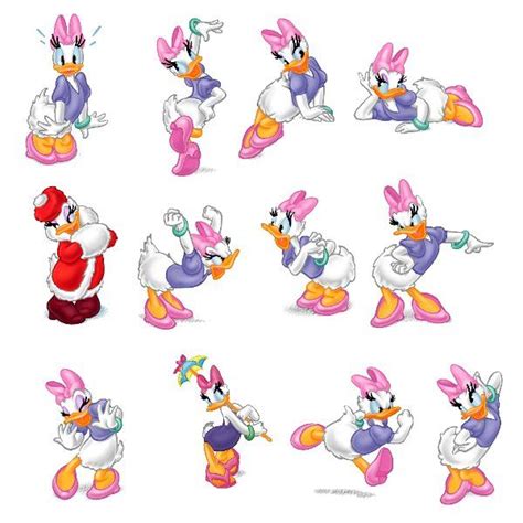 Duck Illustration Donald And Daisy Duck Daisy Love Minnie Party Chip And Dale Mickey Mouse