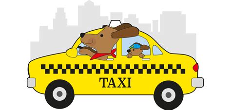 Vantagens E Desvantagens Do Taxi Dog Revista Petcenter Groom Brasil