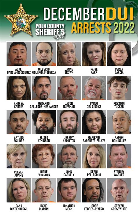 We closed out 2022 with 25... - Polk County Sheriff's Office | Facebook