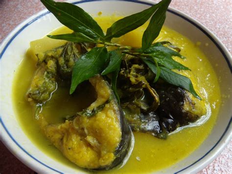 The most popular fish for this dish is the patin, also known as pangasius, river catfish, or shark catfish. manna mania: The making of patin tempoyak...