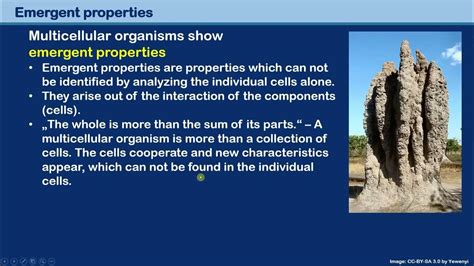 What Are Emergent Properties Youtube