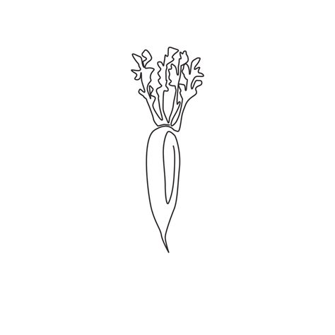 One Single Line Drawing Of Whole Healthy Organic White Radish For Farm