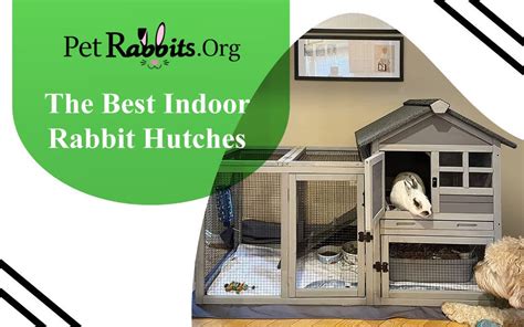 The Best Indoor Rabbit Hutches Pet Rabbits