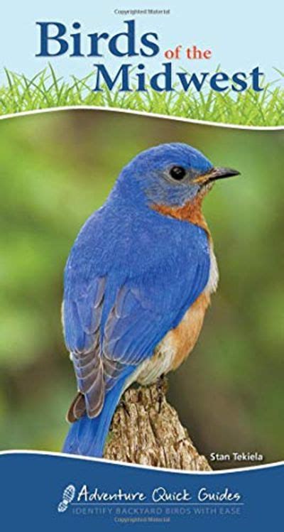 Birds Of The Midwest Identify Backyard Birds With Ease Adventure