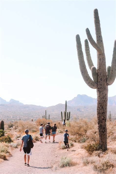 7 Awesome Hikes In Phoenix Arizona Simply Wander