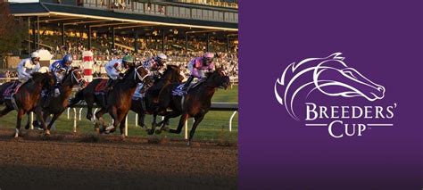 Breeders Cup Classic Preview Betting On The Favorites