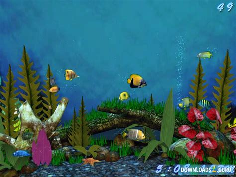 Download Fish Aquarium 3d Screensaver For Windows 1087