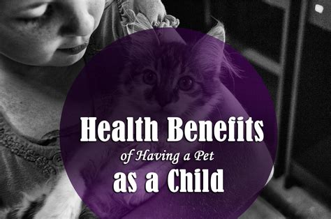 Coursework Health Benefits Of Having A Pet As A Child Courseworkspot