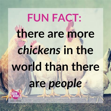 Fun Facts You Probably Didnt Know Showworld Co Uk Show World