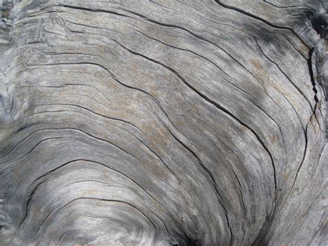 Driftwoodtexture4bywilliammalone 900×675 Gray