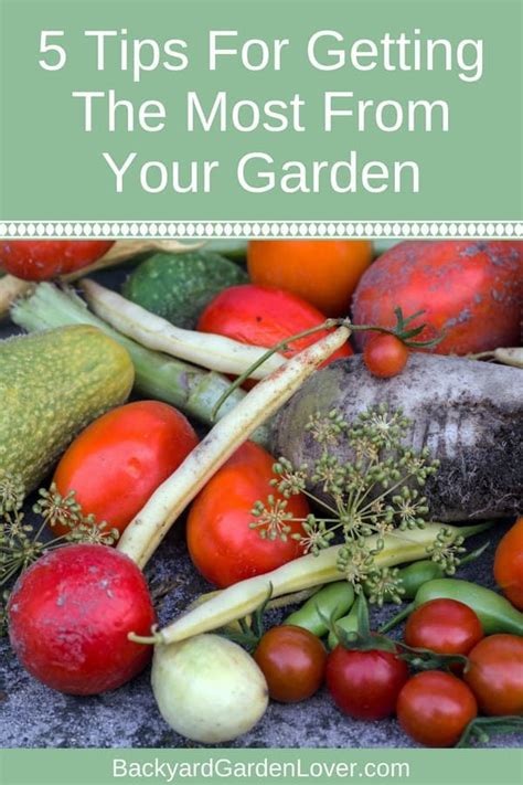 5 Tips For Getting The Most From Your Garden Organic Gardening Tips