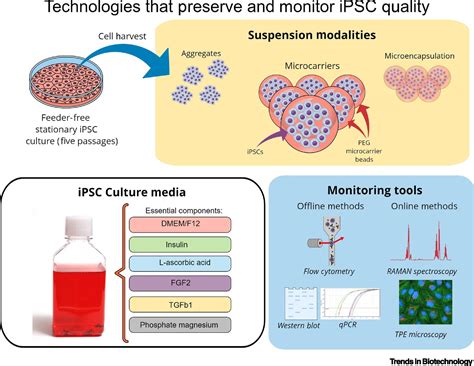 Bioprocess Technologies That Preserve The Quality Of Ipscs Trends In
