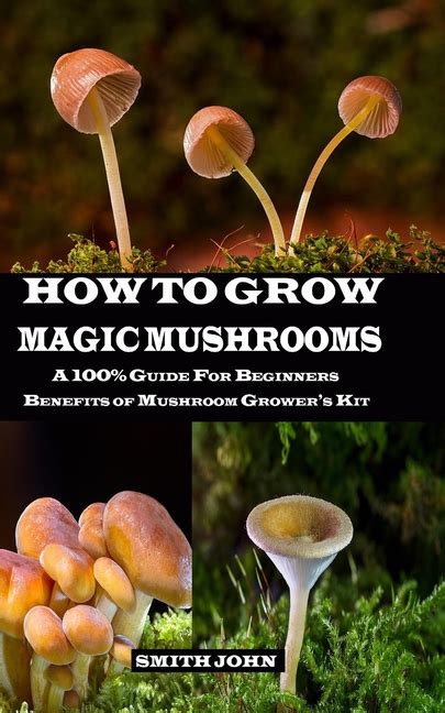How To Grow Magic Mushrooms A 100 Guide For Beginners Benefits Of