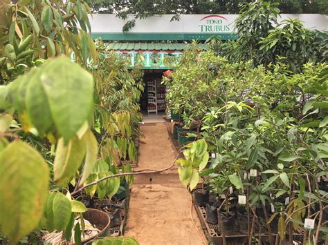 Toko Trubus Kelapa Gading | Jakarta