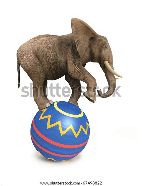 Elephant Balance On Ball Stock Illustration 67498822