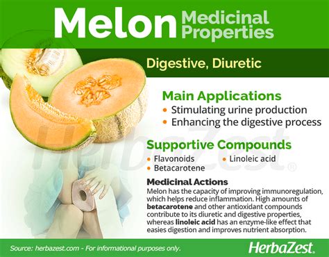 Melon Health Benefits & Properties in 2020 | Melon health benefits, Fruit nutrition, Melon benefits