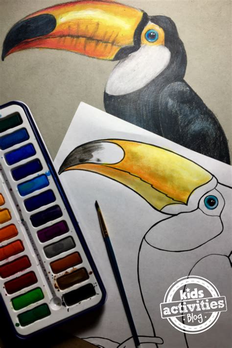 Their huge bills make them something special to look at. Toucan Coloring Pages for Kids and Adults