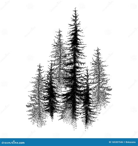 Vector Dotted Spruce Tree Or Coniferous Forest In Black Isolated On