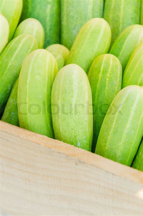 Cucumbers Stock Image Colourbox