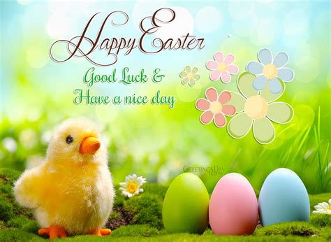 Happy Easter To All Of You ⋆ Greetings Cards Pictures Images ᐉ All