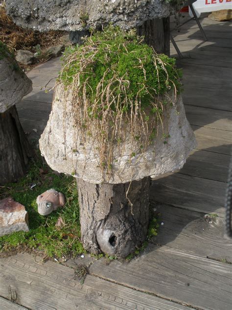 Cement Mushroom planter Saw this in Berlin,Oh | Cement garden, Diy