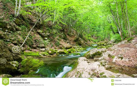 River Deep In Mountain Forest Stock Photo Image Of Jungle Freshness