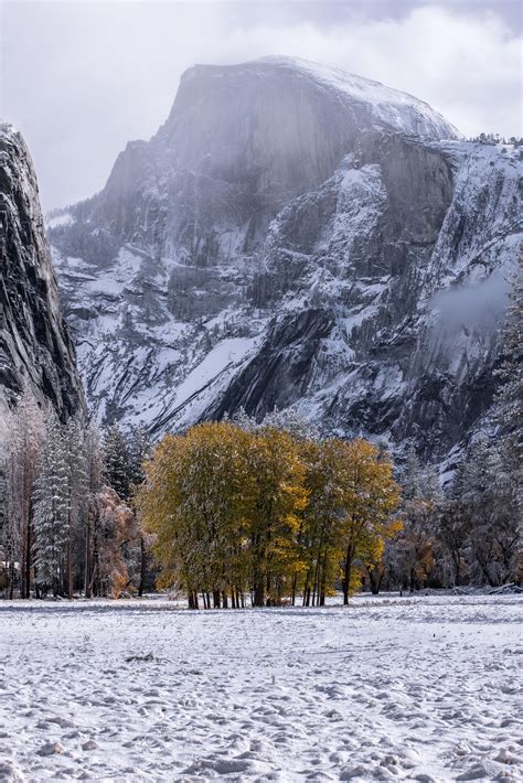 When Autumn Meets Winter This Years First Snowfall In Yosemite
