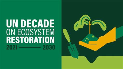 What Is The Un Decade On Ecosystem Restoration Youtube