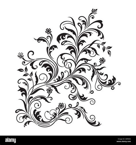 Black Floral Swirls Ornament Isolated Stock Photo Alamy