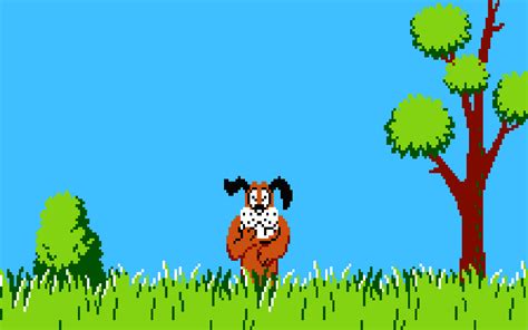 Duck Hunt 8 Bit Nintendo Entertainment System Dog