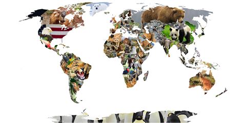 Symbolic National And Common Animals Of The World Oc 5118x2602