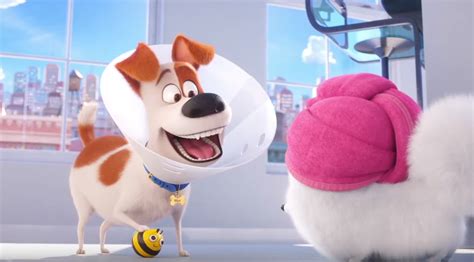 Behind The Scenes Of The Secret Life Of Pets 2 A Lot More Went On