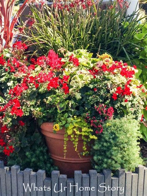 Container Gardening Whats Ur Home Story Container Flowers